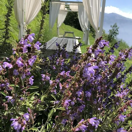 Borgo Le Vigne - Il Mosto Only Adults Appartement *